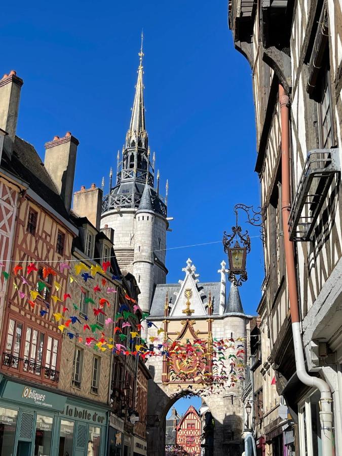 Le Pigeonnier Centre Historique Appartement Auxerre